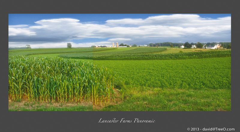 Lancaster Farms Panoramic