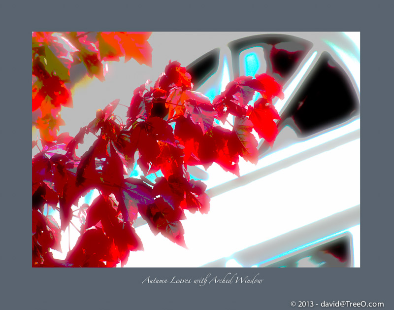 Autumn Leaves with Arched Window