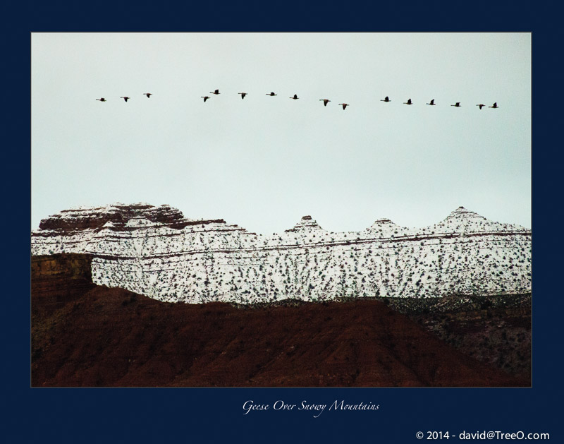 Geese Over Snowy Mountains