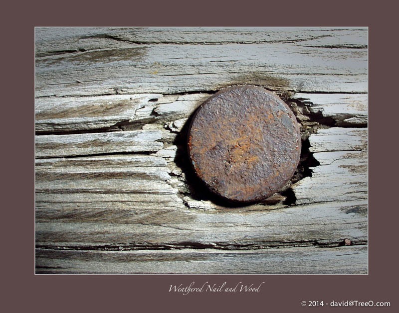 Weathered Nail and Wood