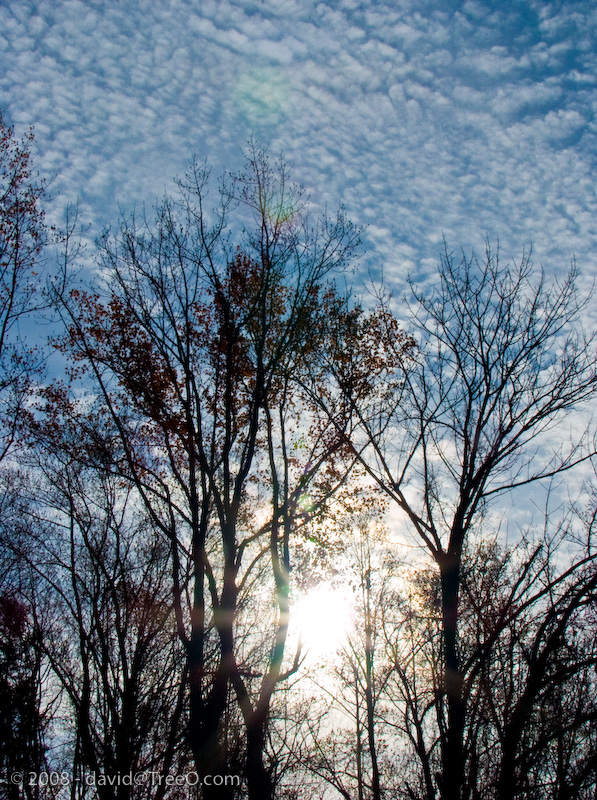 Sun, Trees and Clouds Pearl S. Buck House, Bucks County, Pennsylvania
