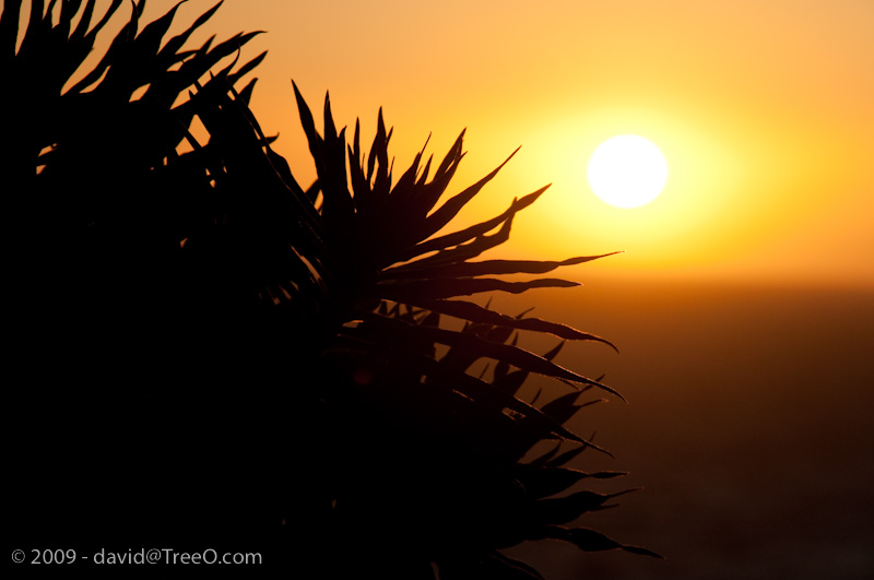 Santa Monica Sun Santa Monica, California