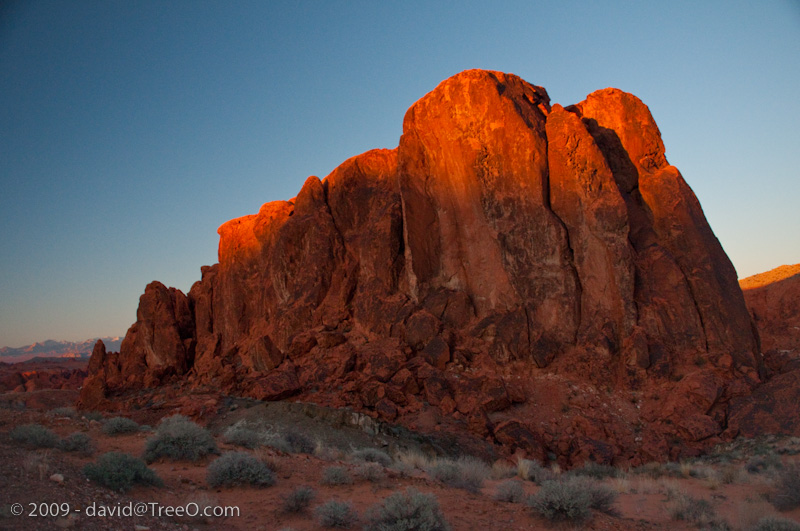 Sunset Rim Light Valley of Fire, Nevada