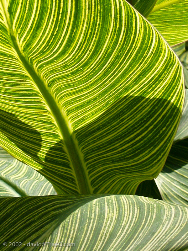 Longwood Gardens, Pennsylvania - September 17, 2002