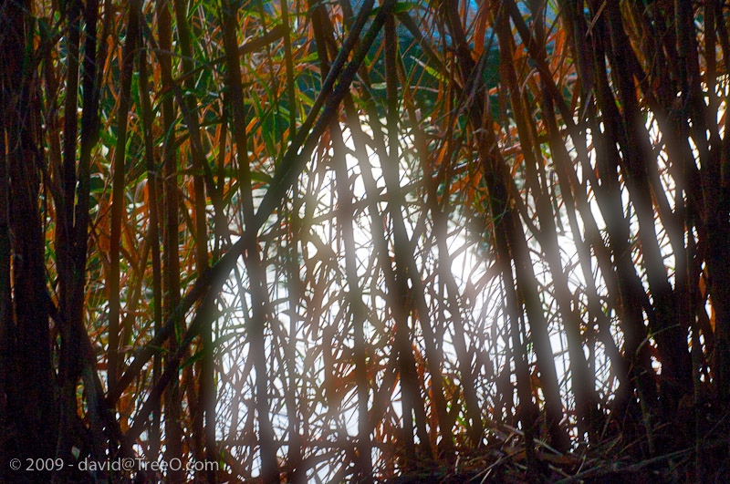 Malibu Lakes, California - January 27, 2009