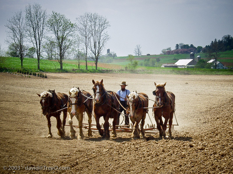 Plowing the Fields - Lancaster County, Pennsylvania - May 3, 2003