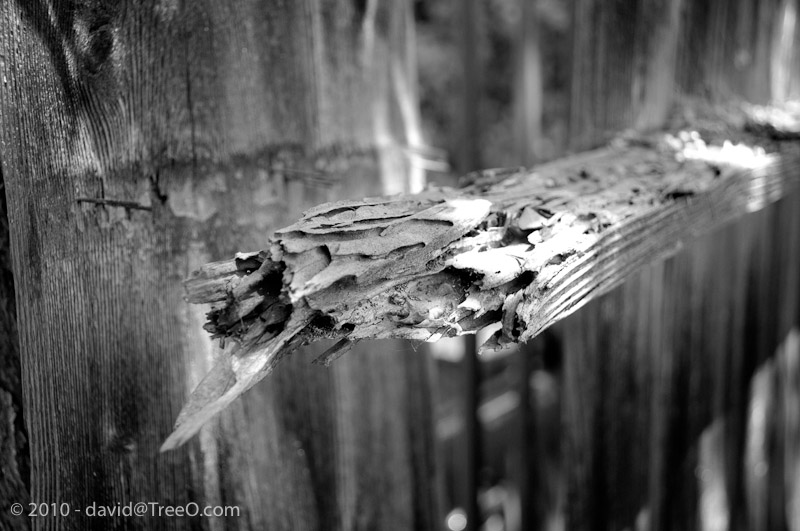 Sharp Board on a Fence - San Diego, California - June 14, 2010