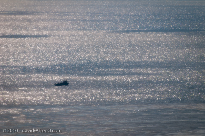 Solitude at Sea - Pacific Ocean, Cabrillo National Park, Point Loma, San Diego, California - August 6, 2010