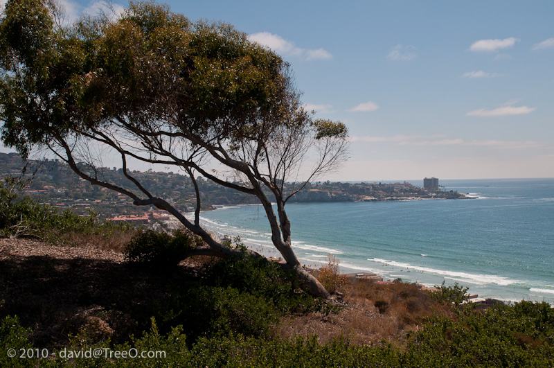 View of La Jolla -Scripps Birch Aquarium, La Jolla, California - August 7, 2010