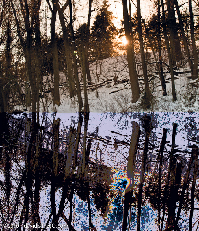 Winter Reflection - Bucks County, Pennsylvania - December 28, 2010