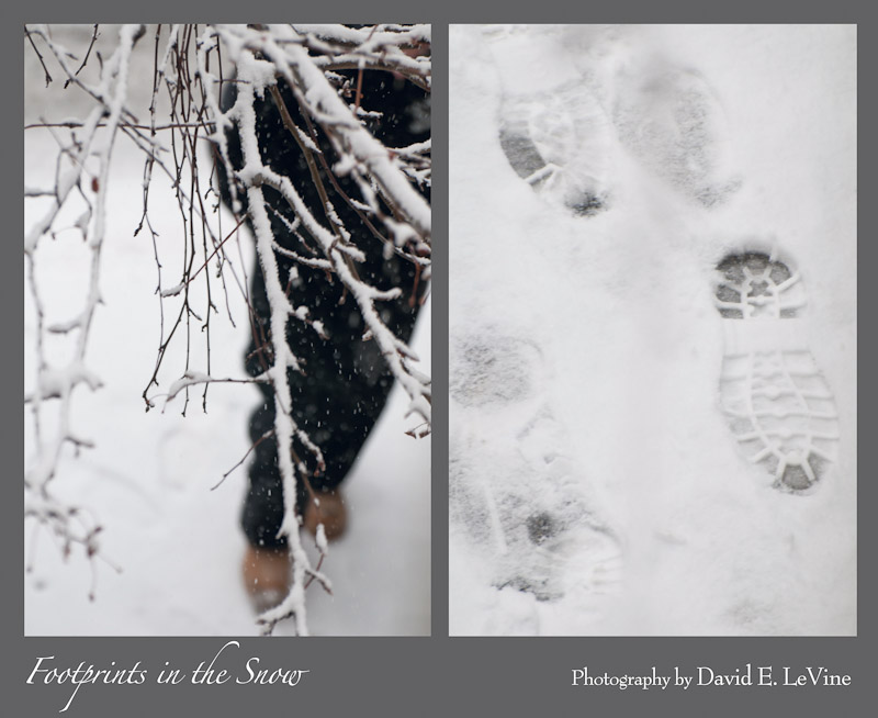 Footprints in the Snow - South Philadelphia, Pennsylvania - January 7, 2011