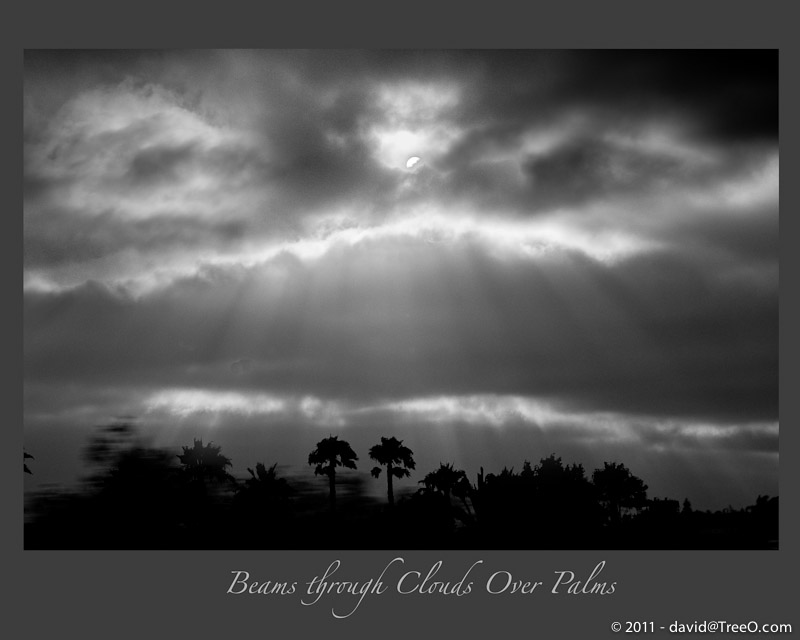 Beams through Clouds Over Palms - San Diego, California - July 29, 2009