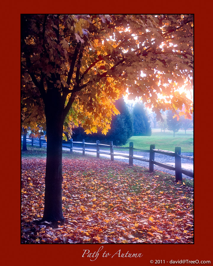 Path to Autumn - Buck's County, Pennsylvania - October 1984