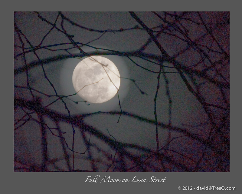 Full Moon on Luna Street - San Diego, California - April 7, 2009