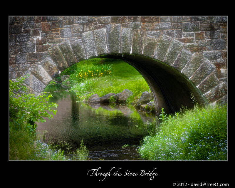 Through the Stone Bridge - Winterthur Estates, Delaware - June 3, 2008