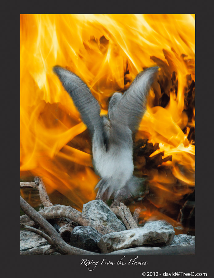 Rising From the Flames - Composite produced on September 11, 2009 