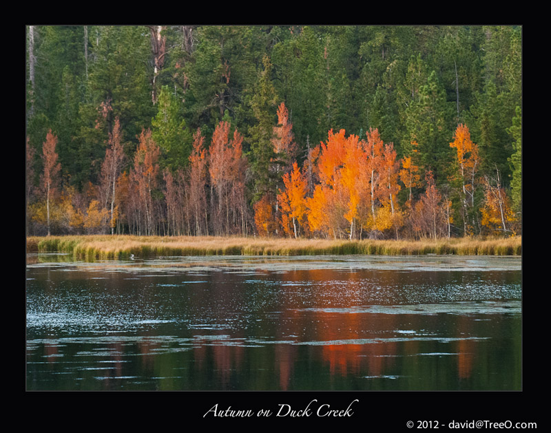 Autumn on Duck Creek - Southern Utah - October 2, 2012