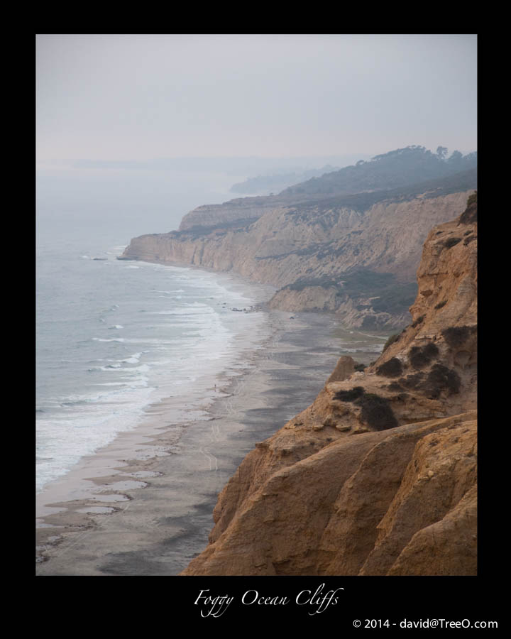 Foggy Ocean Cliffs