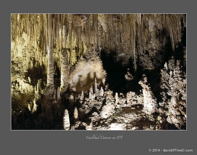 Carlsbad Caverns no.175