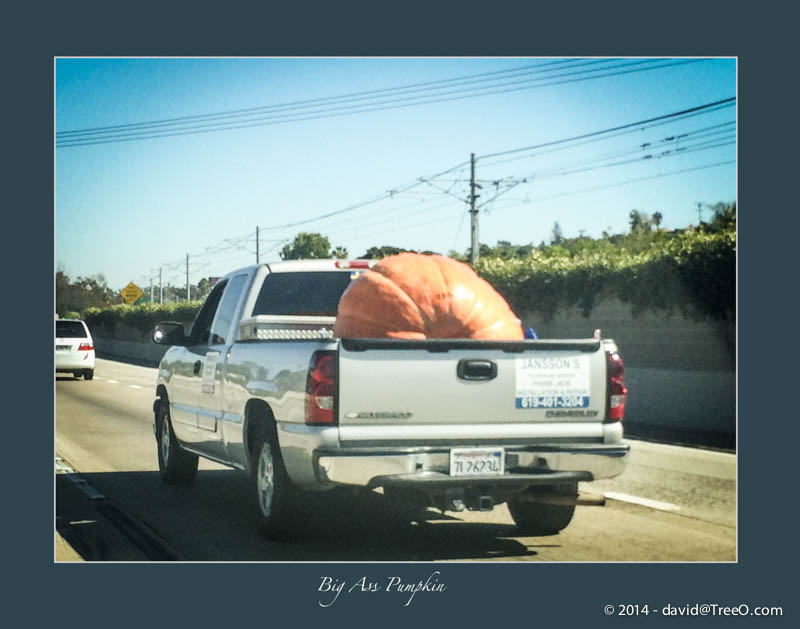 Big Ass Pumpkin
