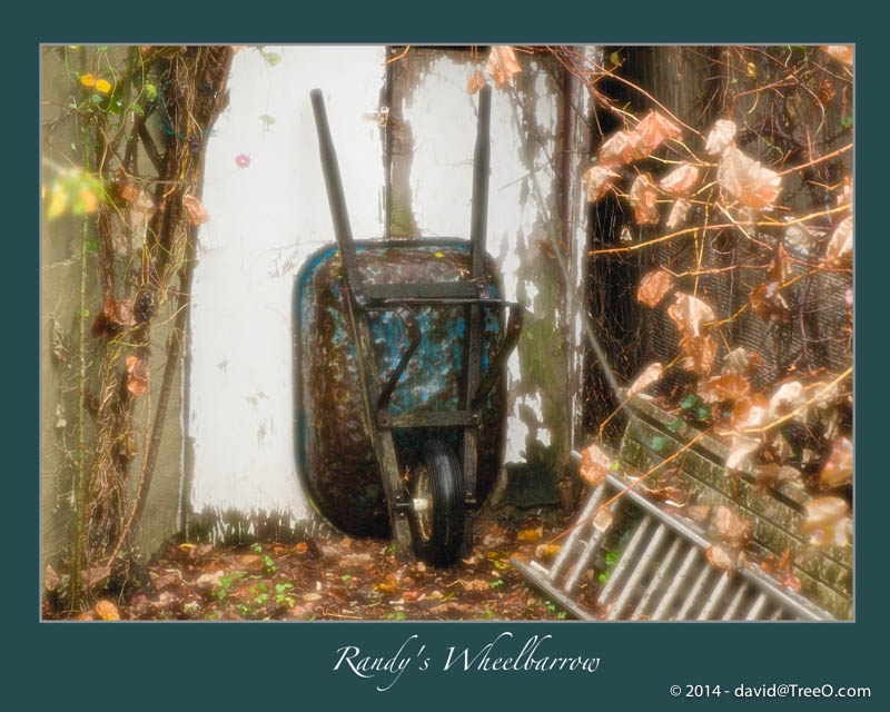 Randy's Wheelbarrow