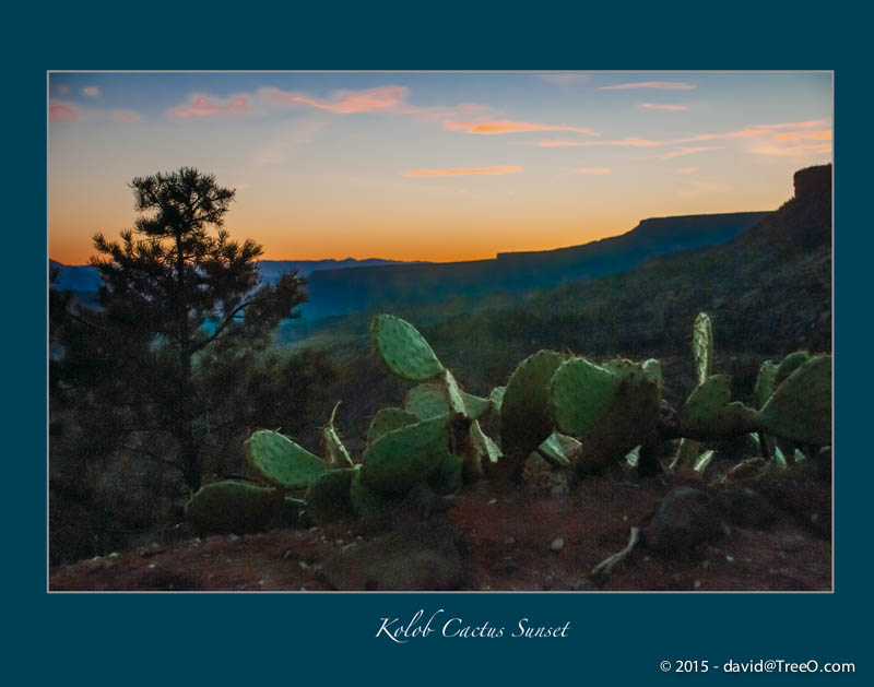 Kolob Cactus Sunset