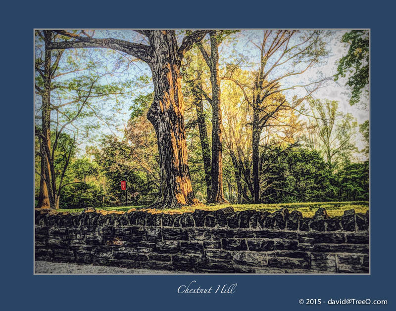 Chestnut Hill, Pennsylvania - May 3, 2015