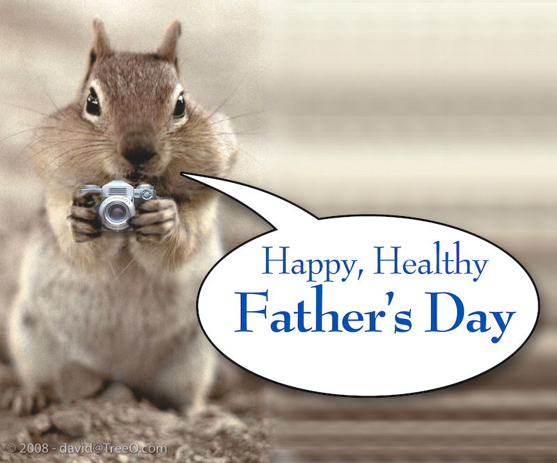 Happy Father’s Day – TreeO.com Squirrel