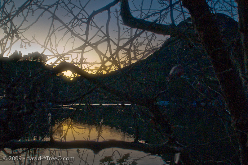 Malibu Lakes, California - January 27, 2009