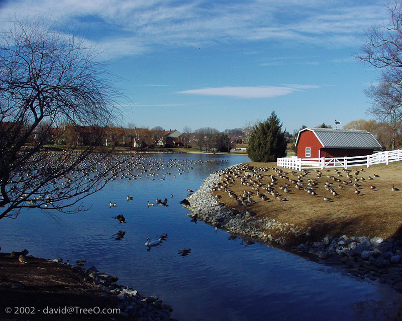 Barnhouse by the Lake