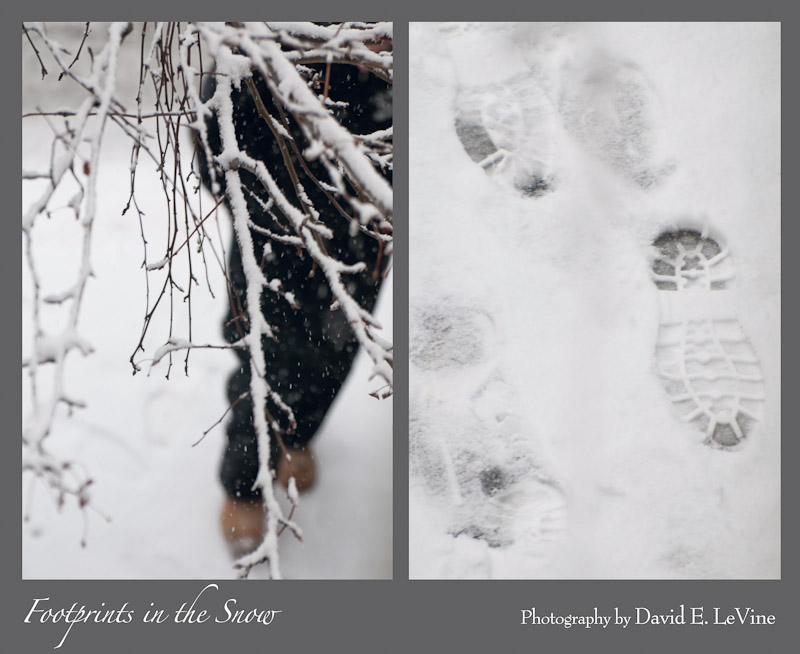 Footprints in the Snow