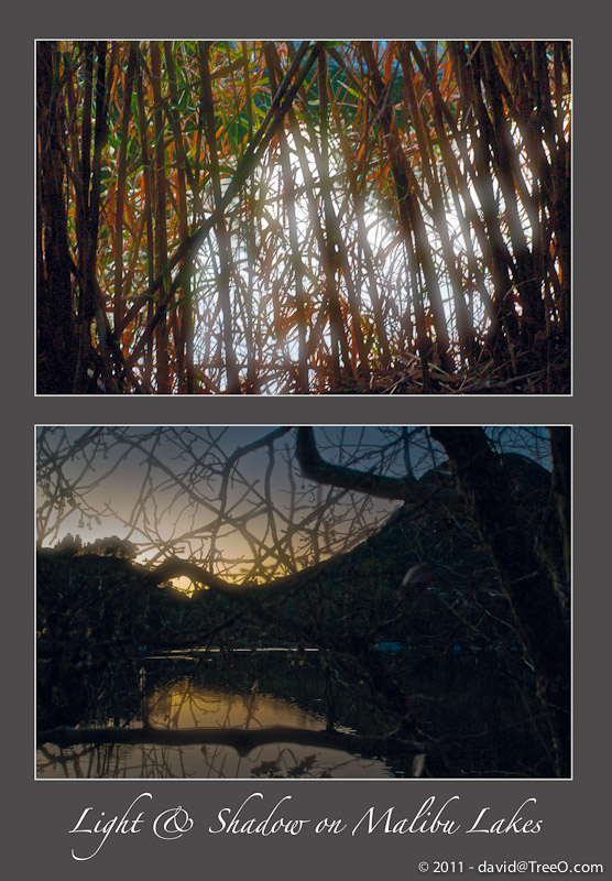 Light & Shadow on Malibu Lakes