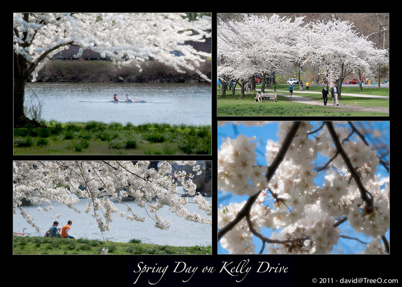 Spring Day on Kelly Drive