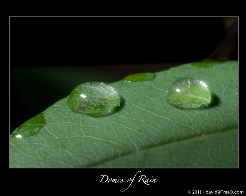 Domes of Rain