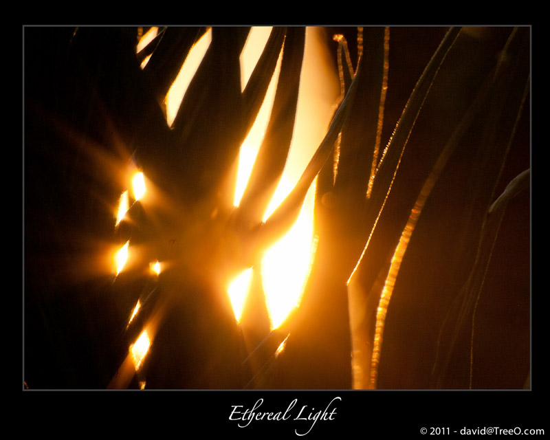 Ethereal Light