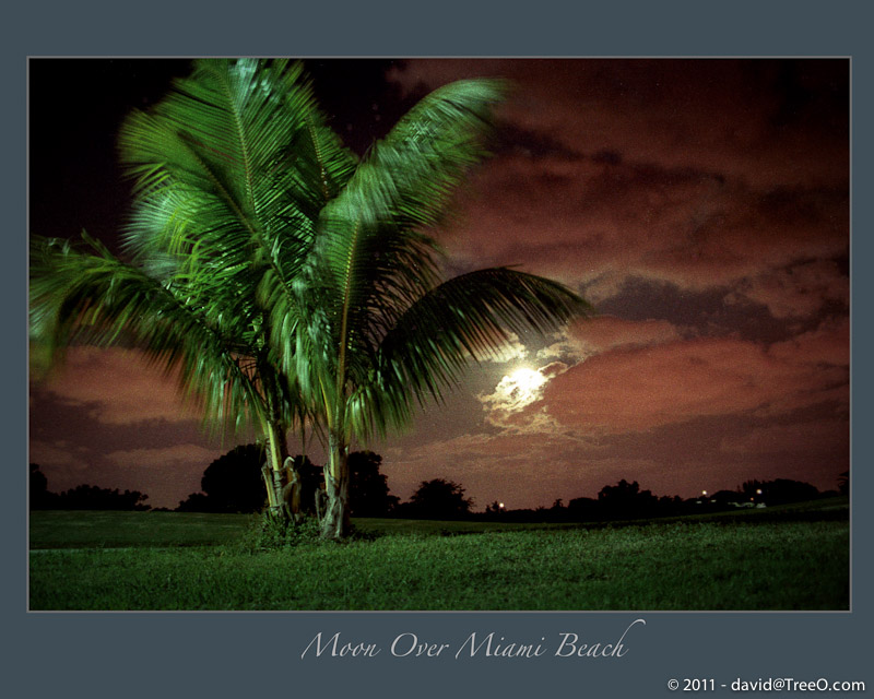 Moon Over Miami Beach