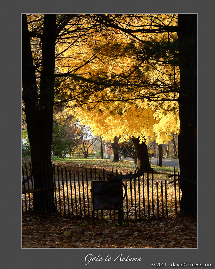 Gate to Autumn