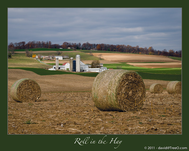 Roll in the Hay