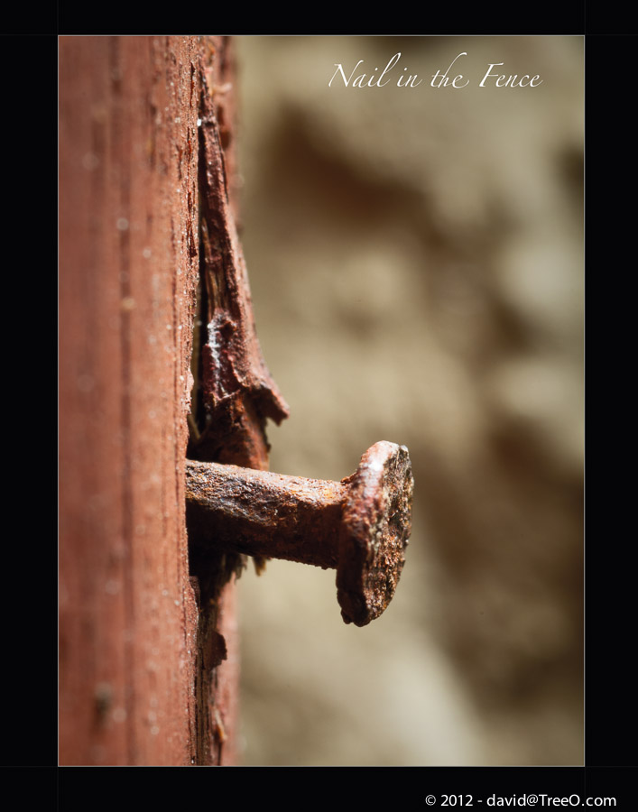 Nail in the Fence
