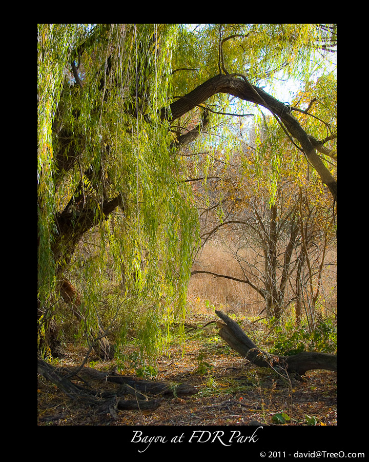 Bayou at FDR Park