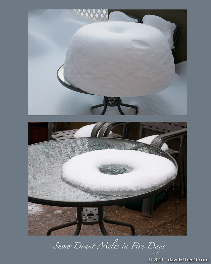 Snow Donut Melts in Five Days