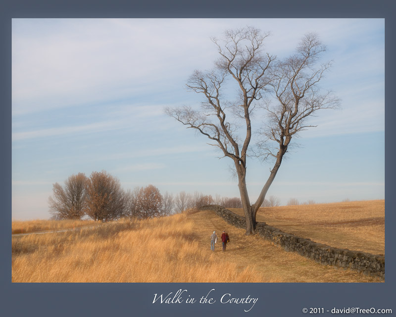 Walk in the Country