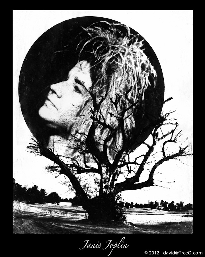 Janis Joplin - West Palm Beach Rock Festival - West Palm Beach, Florida - November 30, 1969