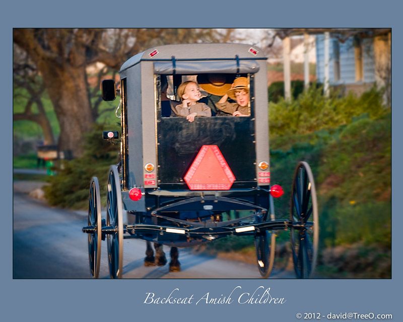 Backseat Amish Children