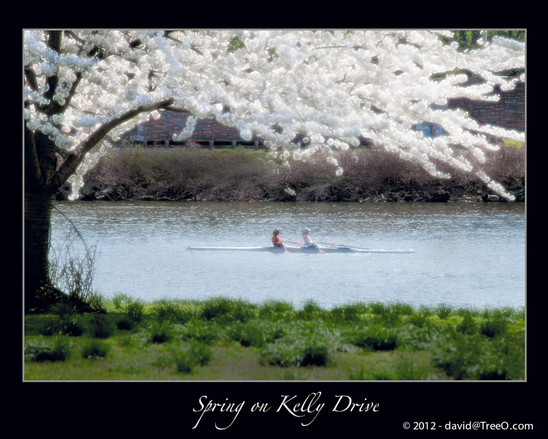 Spring on Kelly Drive