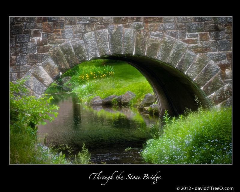 Through the Stone Bridge