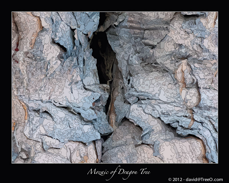 Mosaic of Dragon Tree