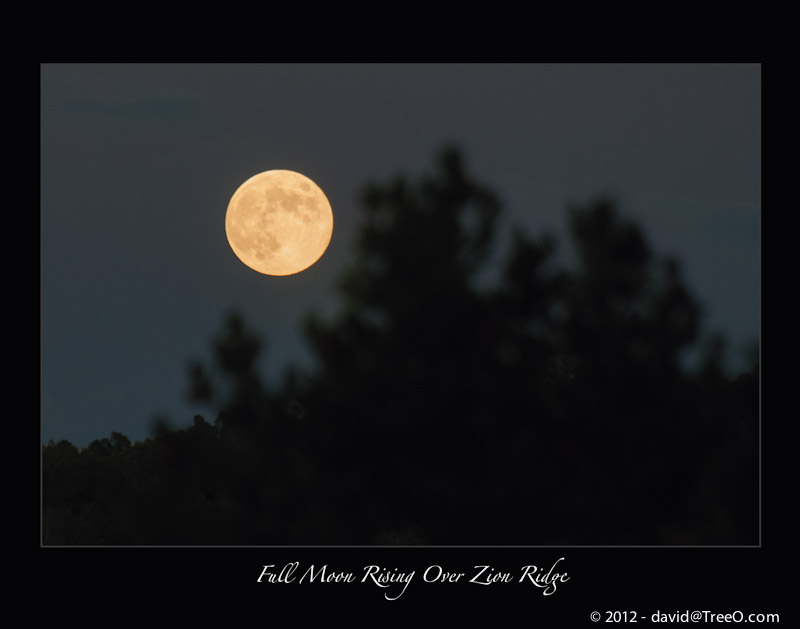 Full Moon Rising Over Zion Ridge