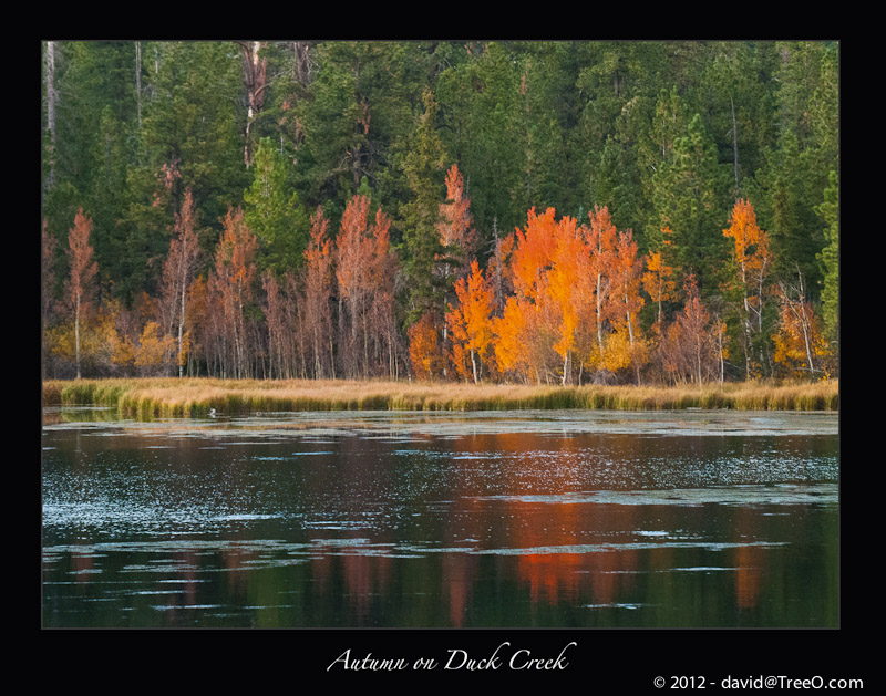 Autumn on Duck Creek