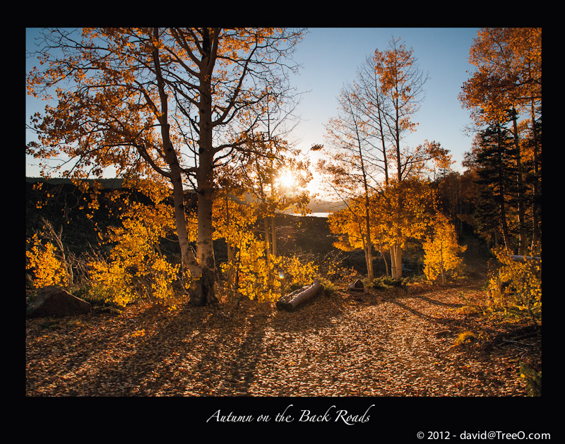 Autumn on the Back Roads